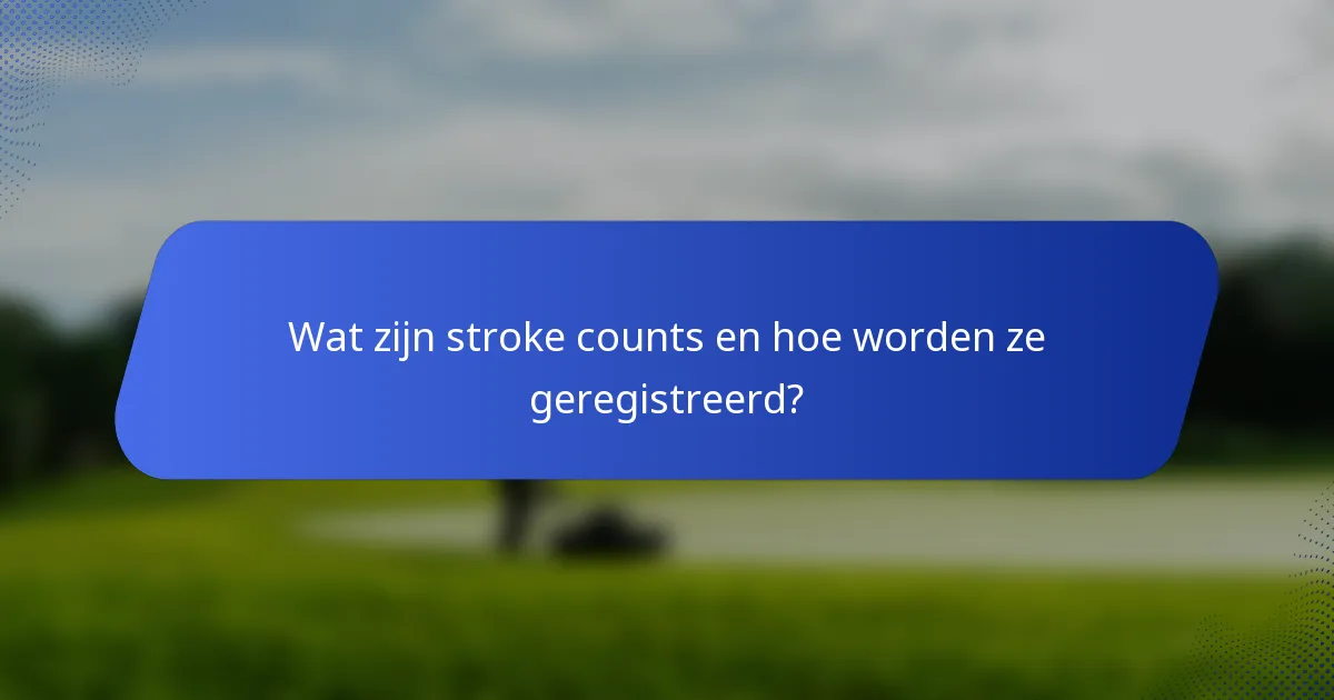 Wat zijn stroke counts en hoe worden ze geregistreerd?
